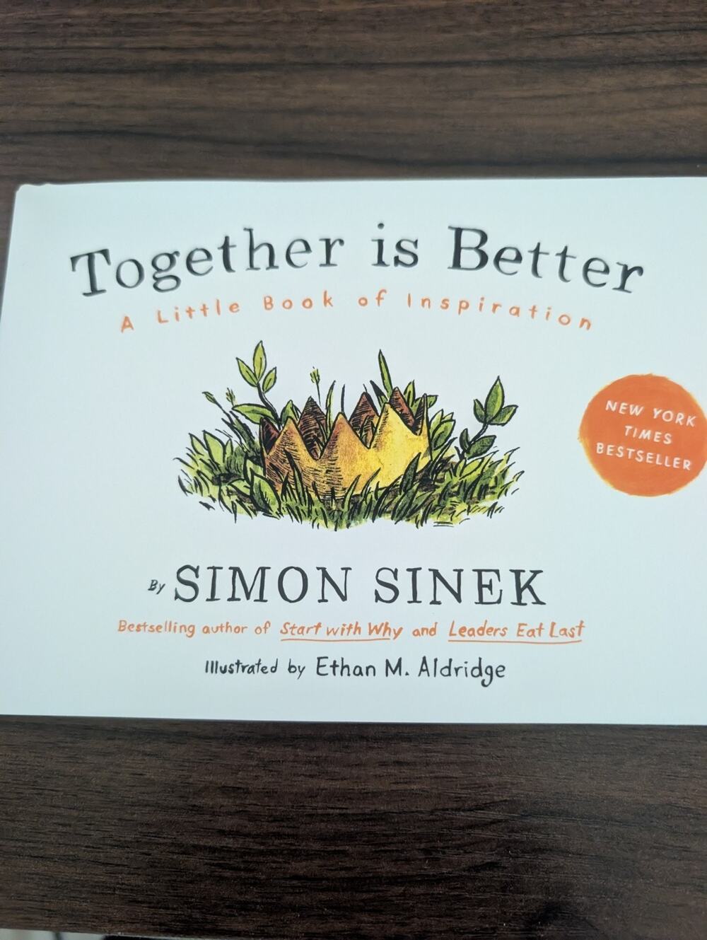 Together Is Better: A Little Book of Inspiration - Sinek, Simon - NEW